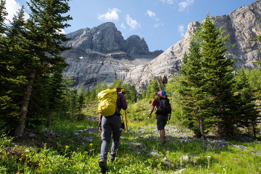 Two people walk up a grassy hill towards a mountain wearing backpacks on a sunny day.